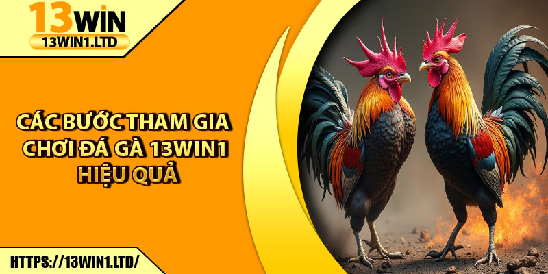 Đá Gà 13win1 – Đấu Trường Kịch Tính, Thưởng Khủng Mỗi Ngày 7 Các bước tham gia chơi đá gà 13win1 hiệu quả