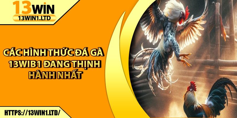 Đá Gà 13win1 – Đấu Trường Kịch Tính, Thưởng Khủng Mỗi Ngày 6 Các hình thức đá gà 13wib1 đang thịnh hành nhất