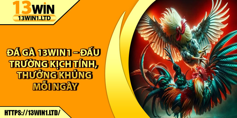 Đá Gà 13win1 – Đấu Trường Kịch Tính, Thưởng Khủng Mỗi Ngày 4 Đá Gà 13win1 – Đấu Trường Kịch Tính, Thưởng Khủng Mỗi Ngày