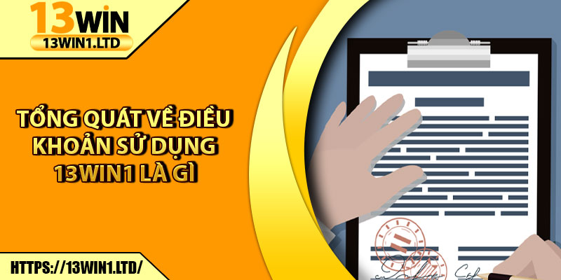 Điều Khoản Sử Dụng 13win1 – Cam Kết An Toàn Và Uy Tín 1 Tổng quát về điều khoản sử dụng 13win1 là gì